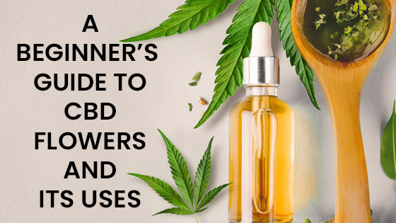 A Beginner’s Guide To CBD Flowers And Its Uses