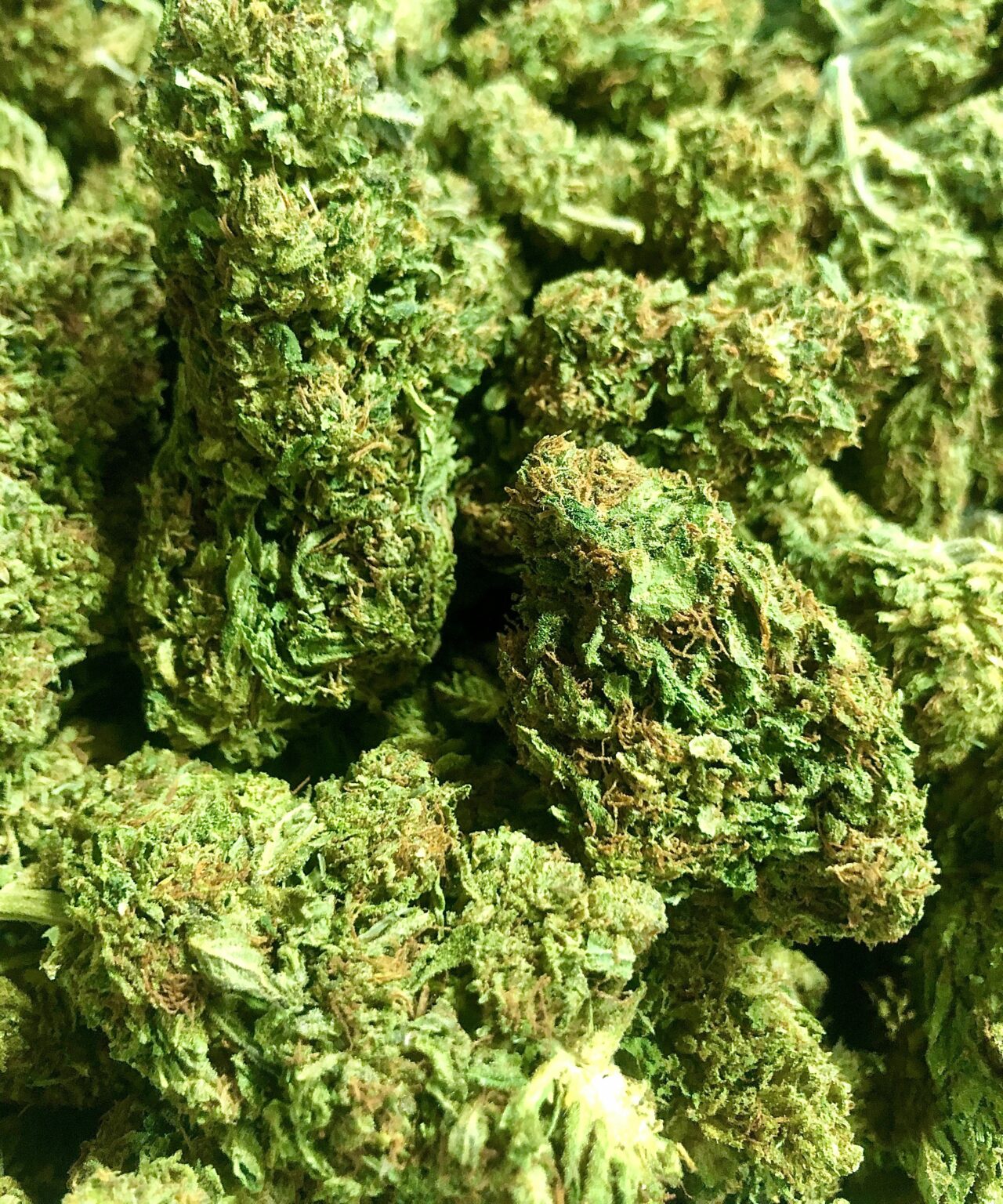 Buy New York Diesel Hemp CBD Flower Oasis Farms