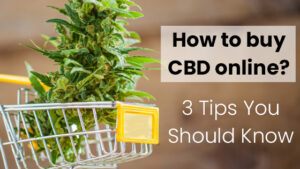 how to buy hemp cbd flower online